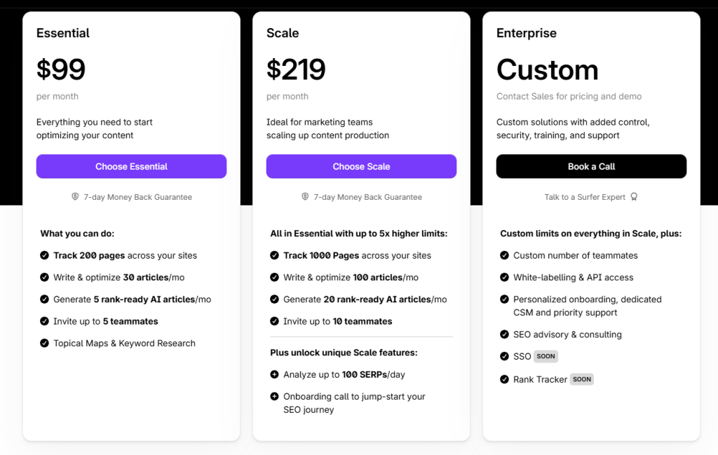 Surfer Seo Pricing Plan